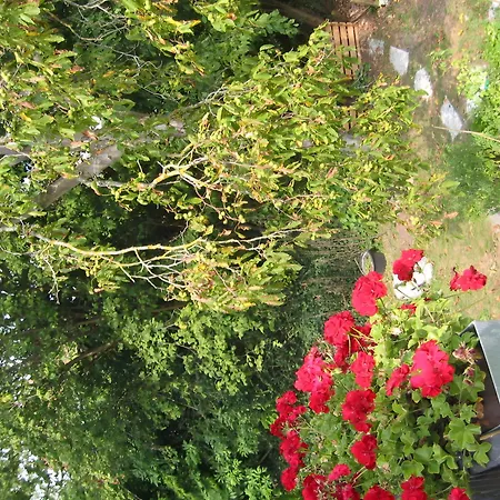 Apartment Manz Uberlingen