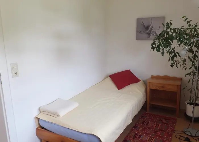 Manz Иберлинген